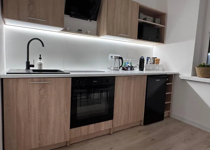 Apartmán Helenka Loft House 24h Zabrze